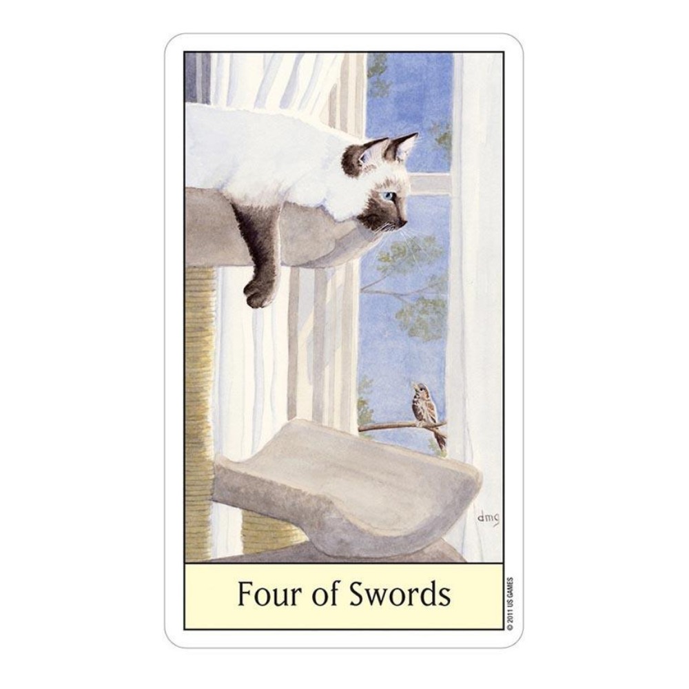 Tarot Deck With Guidebook - Kediler göz Tarot 12x7 cm kart